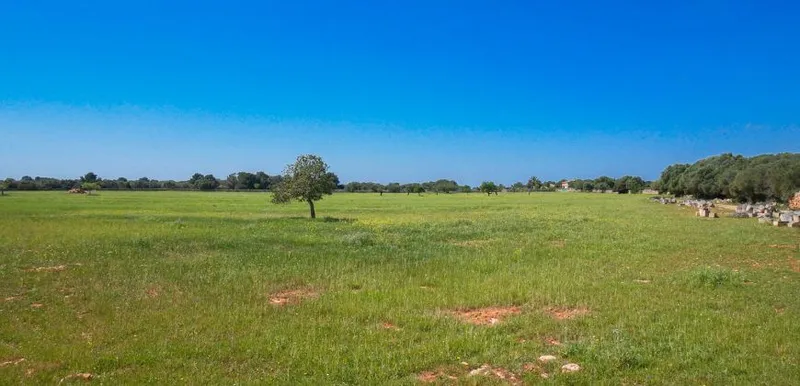 Rustic estate near Cala Pí — 136,400 m², Llucmajor area, 10 min from the coast — photo 8