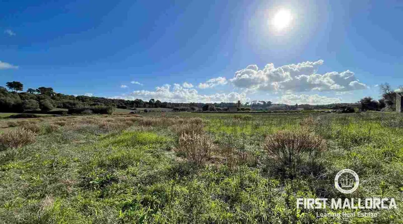 Real estate picture 0 Ref. No. 73251 — photo 10