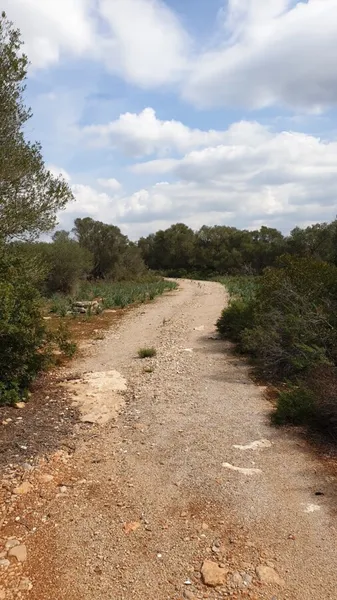 Lovely Huge Plot with Possibility to Build a 290 sqm House — photo 3