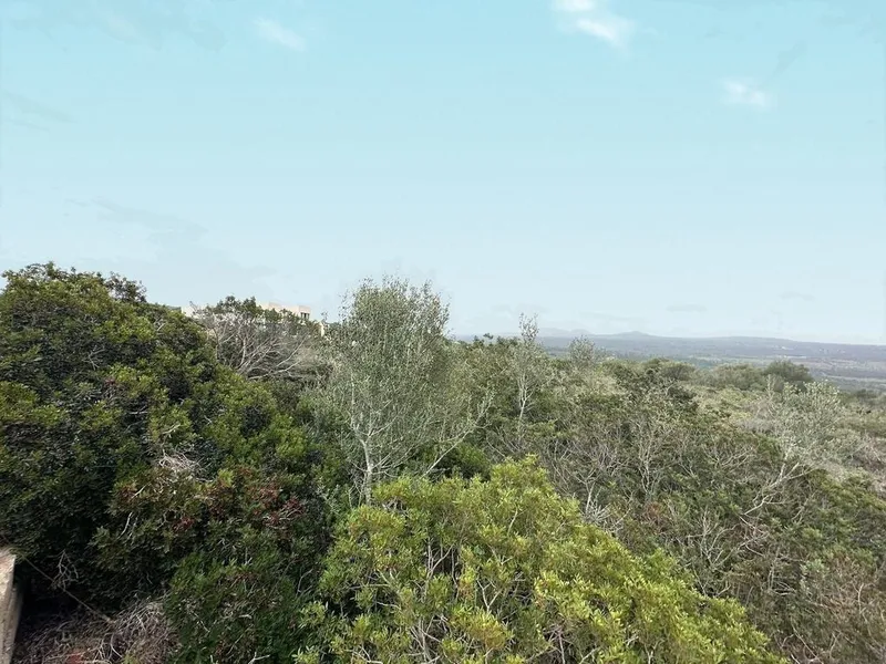 Land in Marratxí, Province of Balearic Islands — photo 5