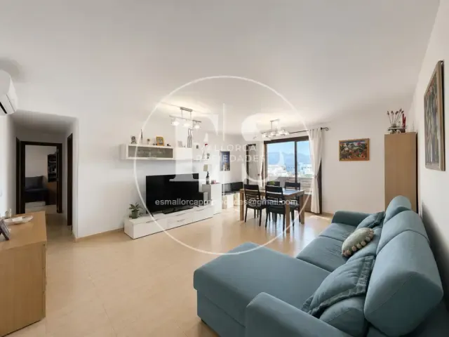 Apartment on Carrer de l'Organista Rafel Femenía — photo 1