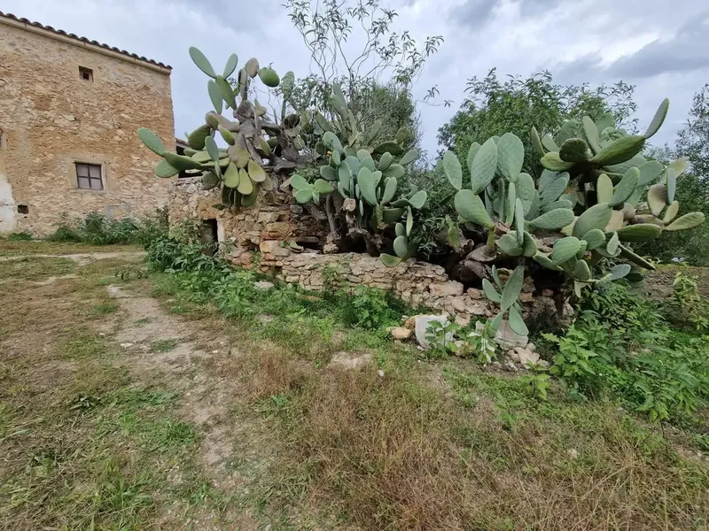 Can Voreta: Authentic Mallorcan estate in one of the best-preserved rural landscapes of northeast Mallorca — photo 7