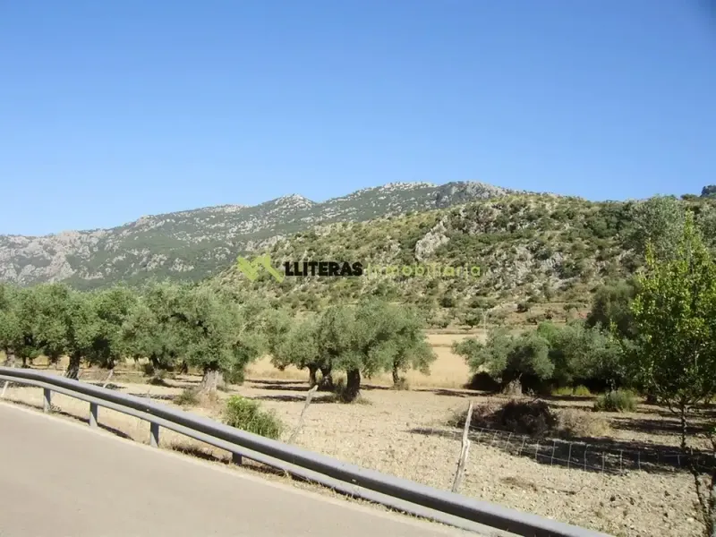 Fantastic estate in the valley between Alaro and Orient, in a paradisiacal setting surrounded by mountains. With an area of more than 50,000 m2 and u — photo 3