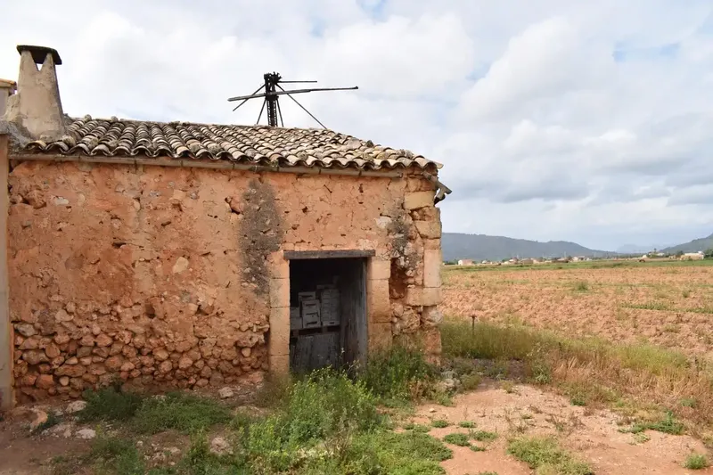 Fantastic rustic estate located in a quiet area of Sa Pobla, with a plot of 24,558 m2 and a basic project for the construction of — photo 6
