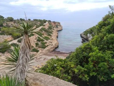 Urban Plot of Land - Manacor (Cales de Mallorca), Plot Surface 1213 m², 600 m to the Sea — photo 2