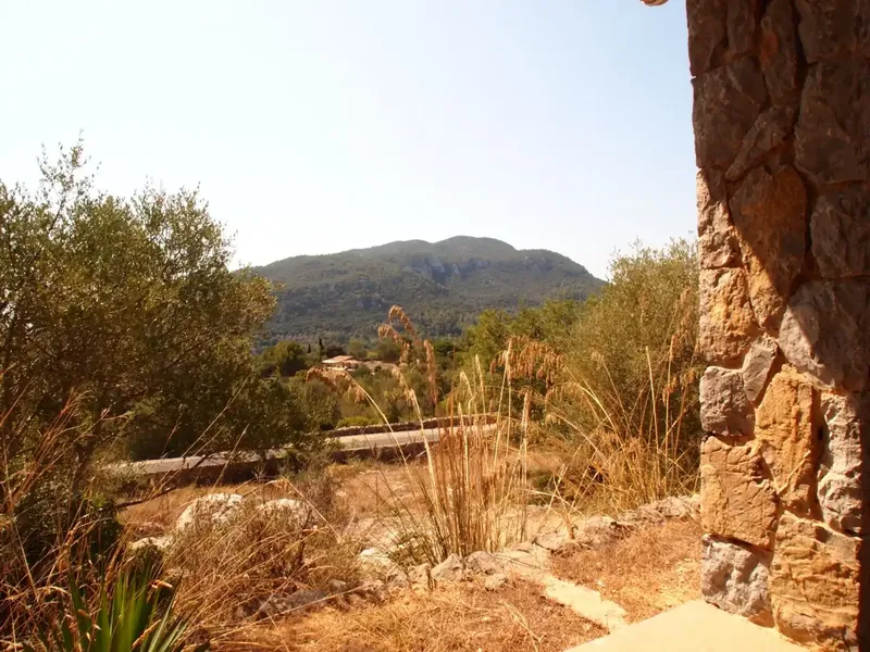 Beautiful Stone House with 80cm walls, on a rustic estate of approx. 33,000m2, has cistern water, Endesa electricity, distributed in — photo 4