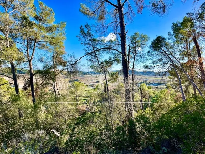 Villa in Sineu, Province of Balearic Islands — photo 9