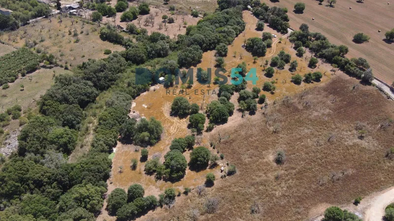 Rustic land for building in Buger — photo 12