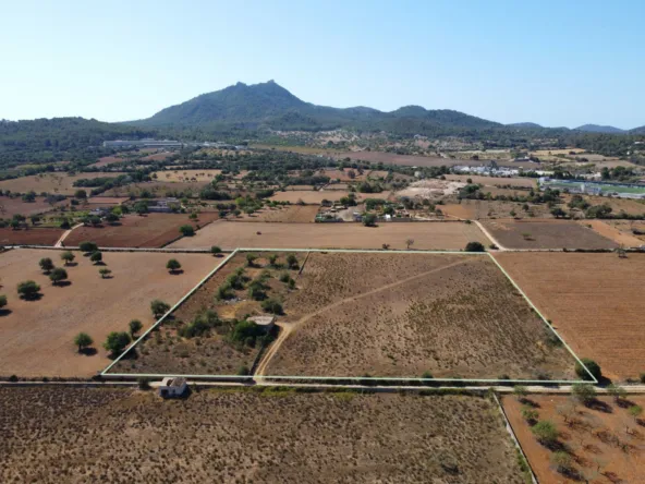 Buildable plot in Felanitx of 21,710 m2 — photo 1