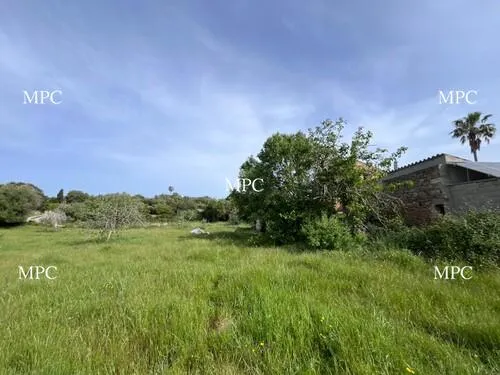 Buildable Rustic Plot of 12,000 m² with License Potential in Artà — photo 1