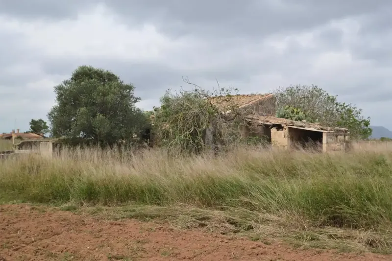 Plot of 24300 square meters with tool shed to renovate — photo 6