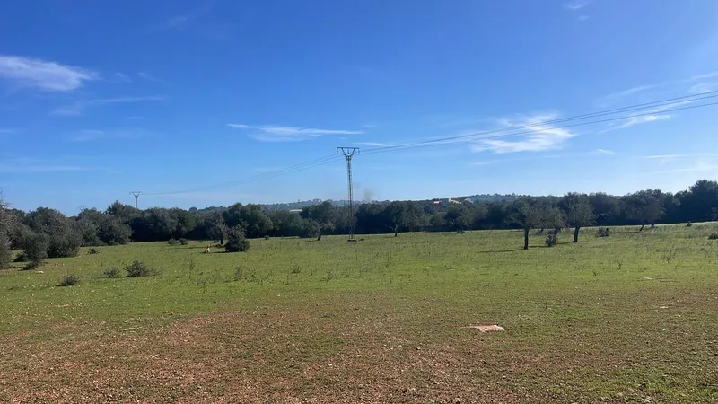 Nice building plot with views of Randaberg, Campos — photo 4