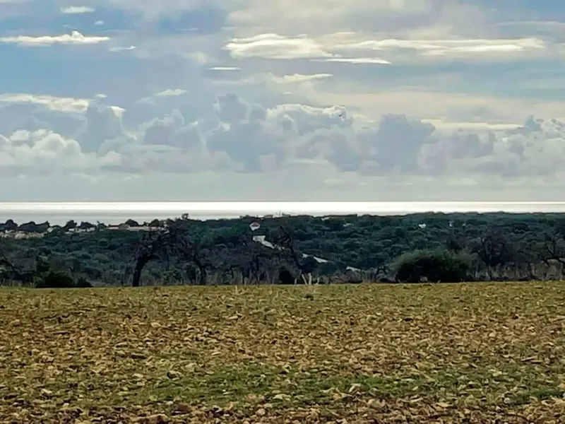 finca in Manacor — photo 10
