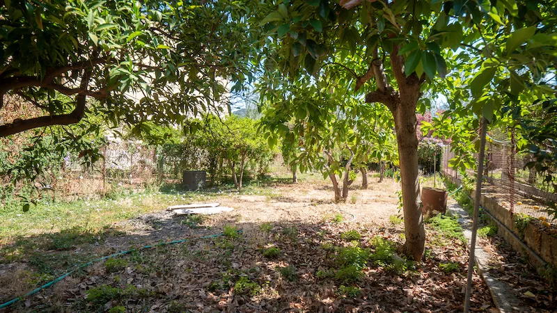 Stately home with a large garden and private parking near the centre of Sóller — photo 6