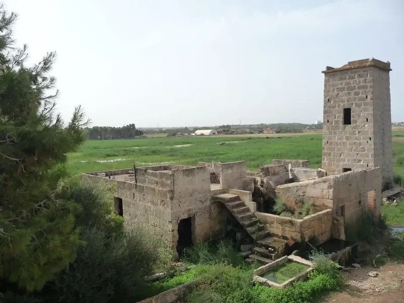 Rustic Finca in Palma with Many Possibilities, Playa de Palma Area, 2 km from the Beach and 10 km from the City Center, Possibility of Use — photo 6