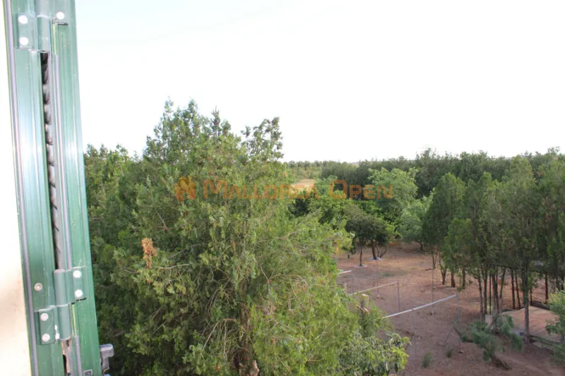Se alquila magnífica finca rústica en Manacor — photo 12