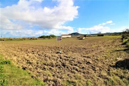 Rural Land - Sineu, Plot Surface 28600 m² — photo 9