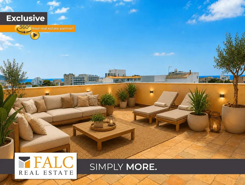 Penthouse with Sunroom &amp; XXL Terrace for Long-Term Rent — photo 1