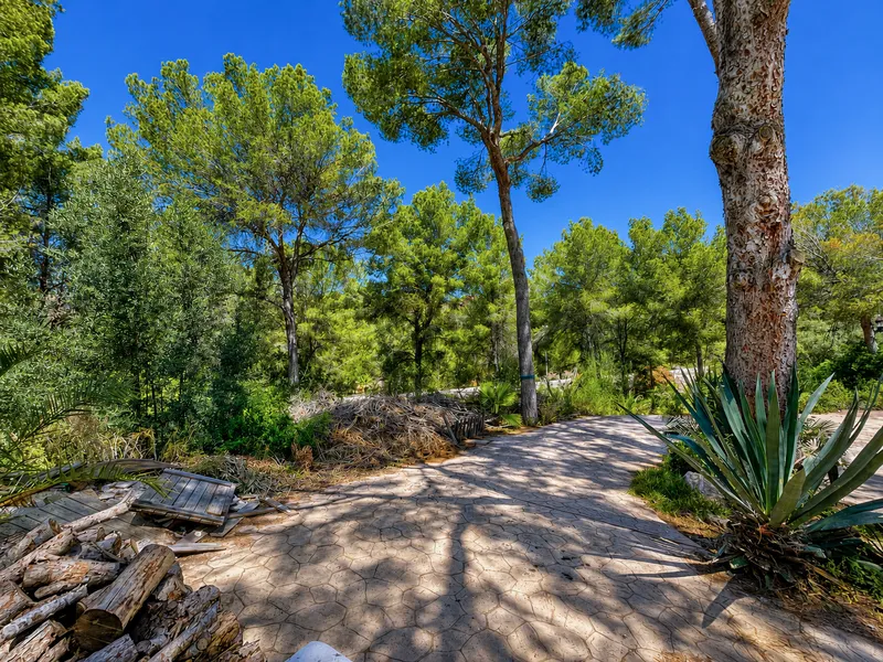 Plot with high investment potential and possibility to build a new villa in Nova Santa Ponsa Mas — photo 5