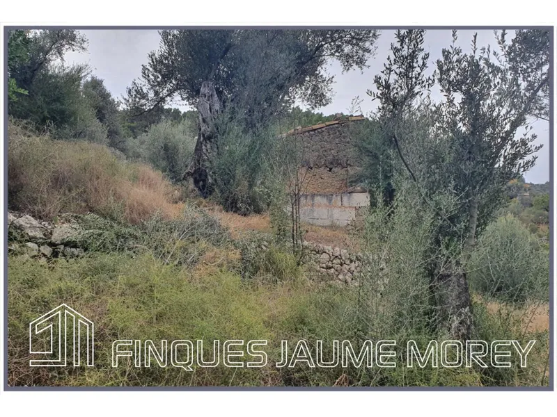 Rustic house — photo 9