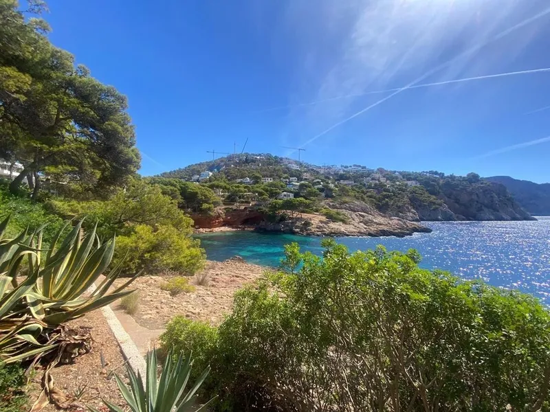Penthouse in Andratx, Province of Balearic Islands — photo 8