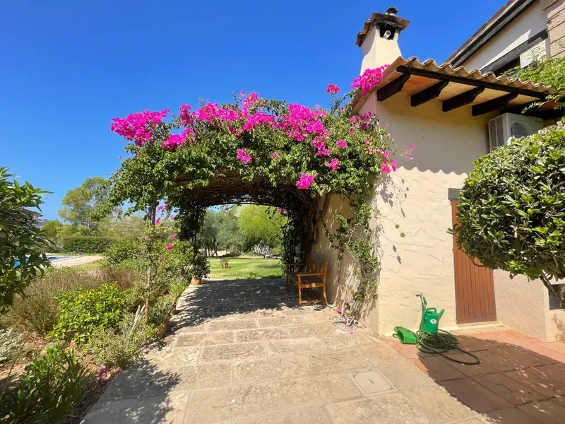 Finca in Andratx, Mallorca — photo 10