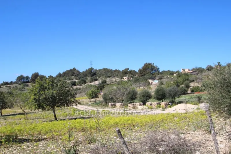 Finca in Son Servera — photo 1