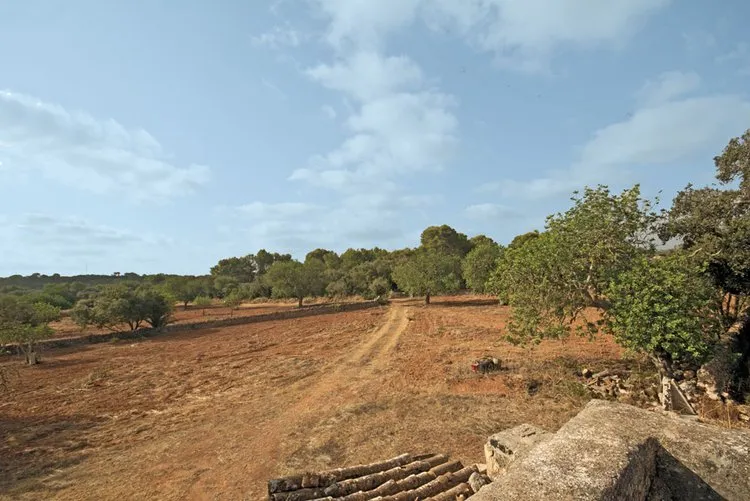 Campos, a large rural estate with potential F02906 — photo 9