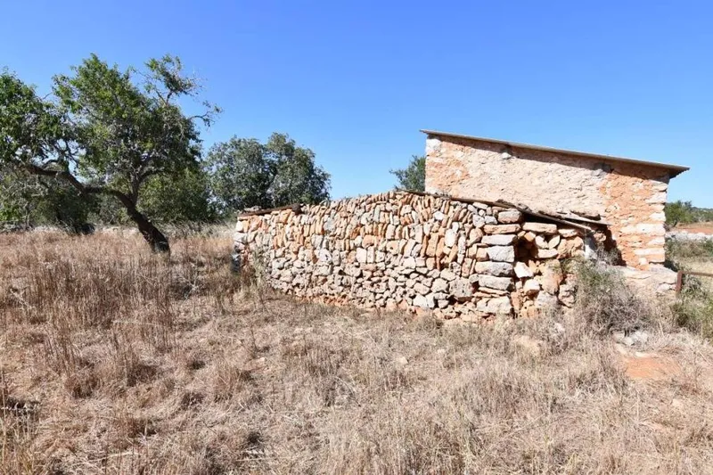 Interesting rustic plot between Santanyi and Cas Concos — photo 4