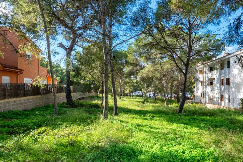 Building plot near the harbour in Santa Ponsa — photo 1