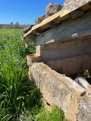Exclusive Rustic Estate for Sale at C&M Fine Homes - A Haven of Tranquility in Alcúdia — photo 4