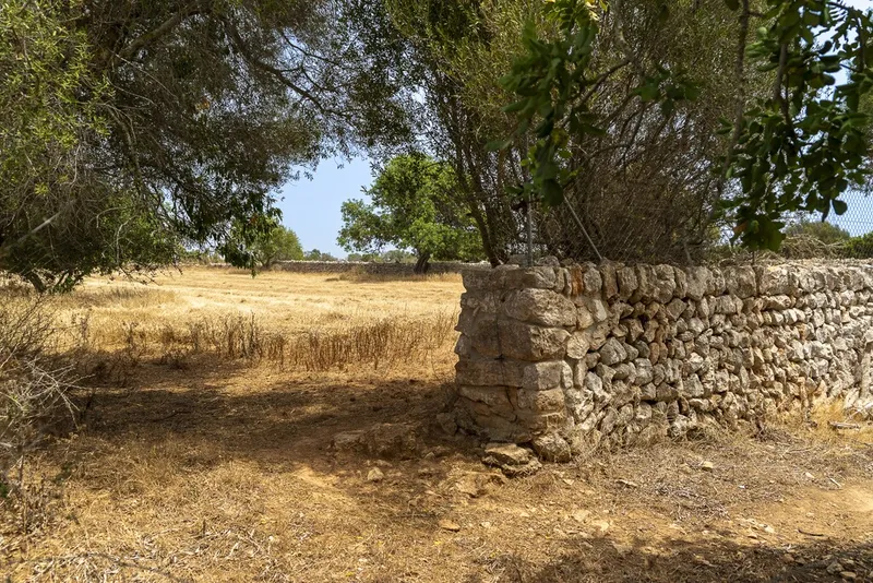 Top quality plot for sale in Santanyi with private pool and sea views — photo 11