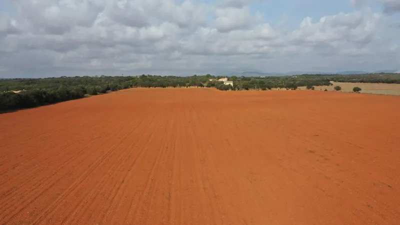 Large plot with beautiful construction project of a Finca in Campos — photo 2