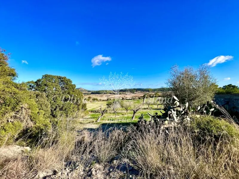 Villa in Sineu, Province of Balearic Islands — photo 4