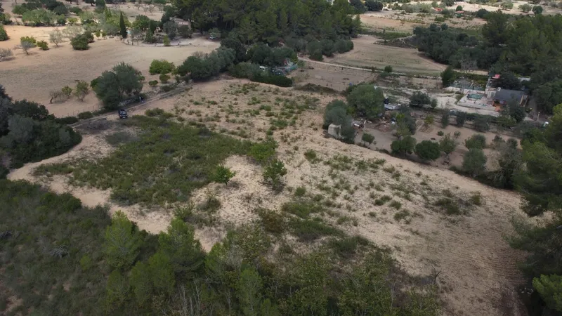 Rustic plot of 2,752 m² with fruit trees and wooded area — photo 7