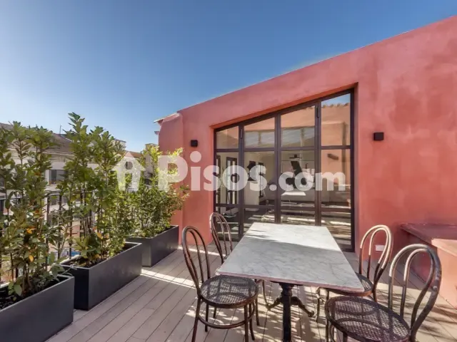 Apartment in Cort — photo 1