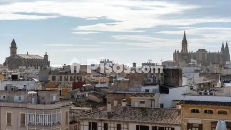 Apartment in El Mercat — photo 6