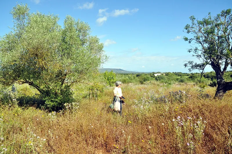 Country plot with project — photo 11