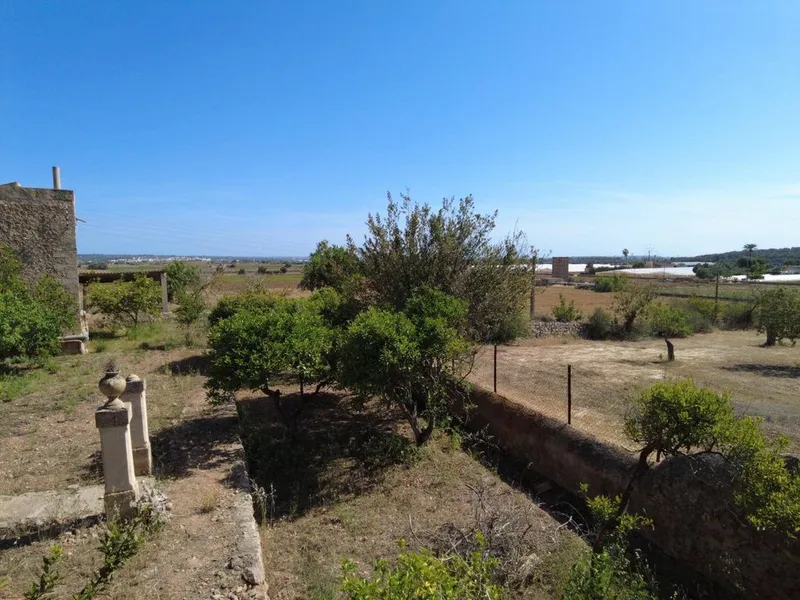 Rural or Farmhouse in Santa Eugènia, Province of Balearic Islands — photo 11