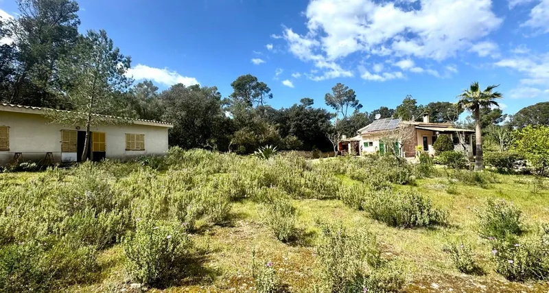 Beautiful finca near Sant Joan with pool and great potential — photo 4