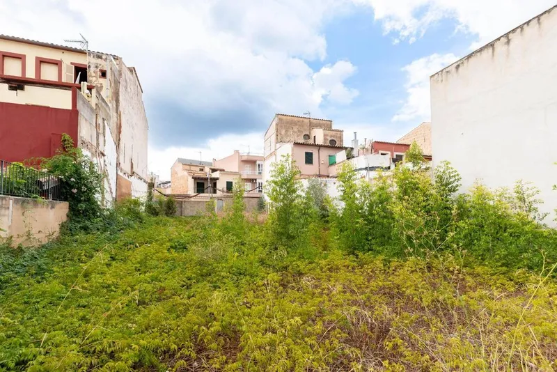 Land in Andratx, Province of Balearic Islands — photo 7