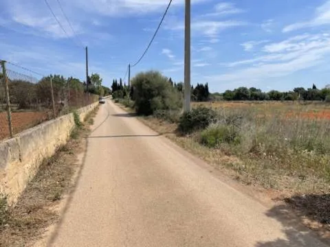 Plot — photo 7