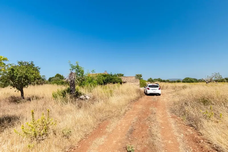 In an environment of absolute calm, surrounded by nature and with the charm of the rural landscape of Felanitx, this magnificent estate extends — photo 11