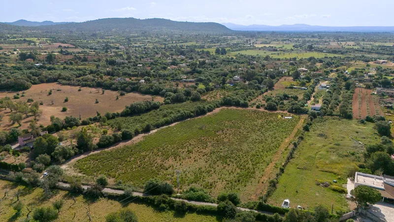 Rustic plot with project and favorable resolution in Llucmajor — photo 9