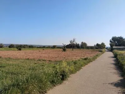 Rural Land - Campos, Plot Surface 2406m² — photo 1