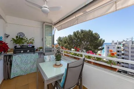 Apartment - Palma de Mallorca (Cala Major), Built Surface 70m 2, Terrace Size 6.7m 2, 2 Bedrooms, 1... — photo 7