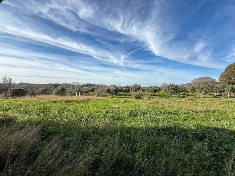 Rural or Farmhouse in Selva, Province of Balearic Islands — photo 6