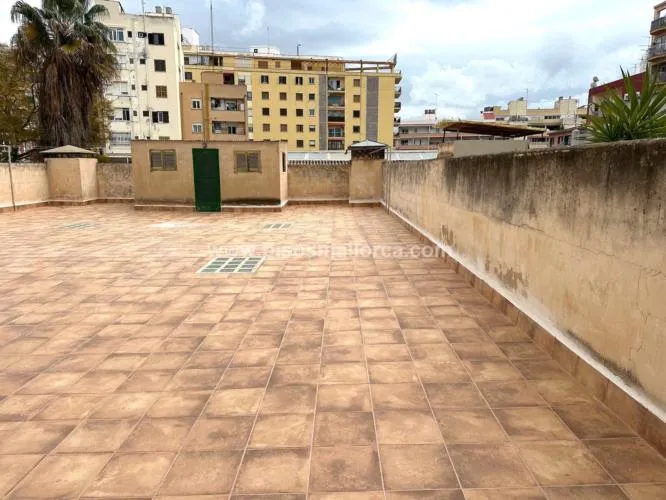 Apartment in Palma de Mallorca — photo 6