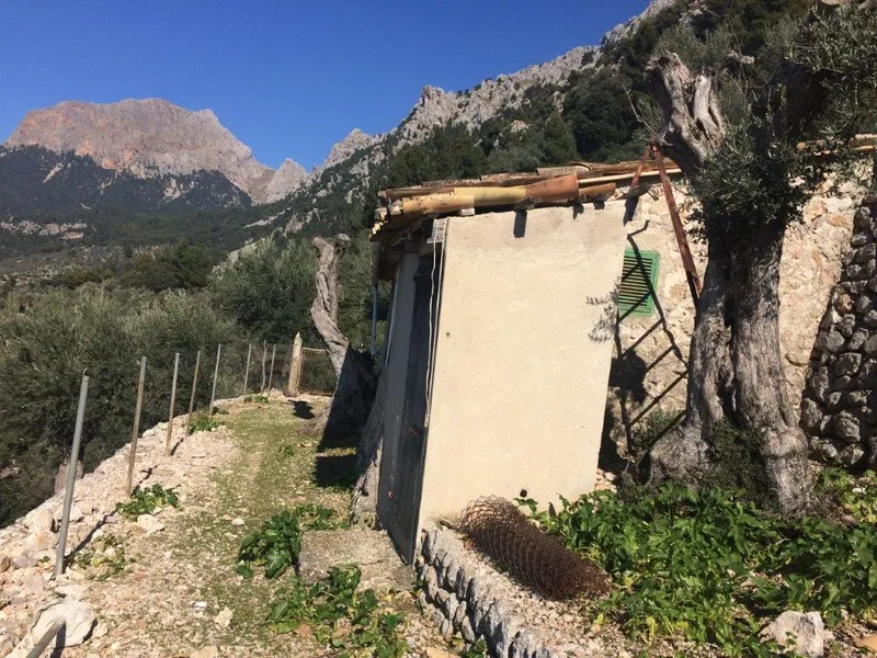 Beautiful olive grove with porch and car access in Fornalutx — photo 12