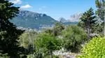 Rustic Finca for sale in Escorca — photo 2